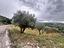 Immagine 12