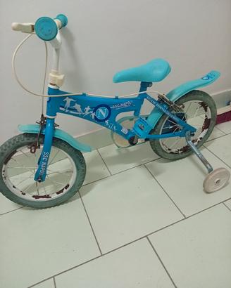 bicicletta 