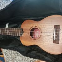 Sacca/borsa per ukulele