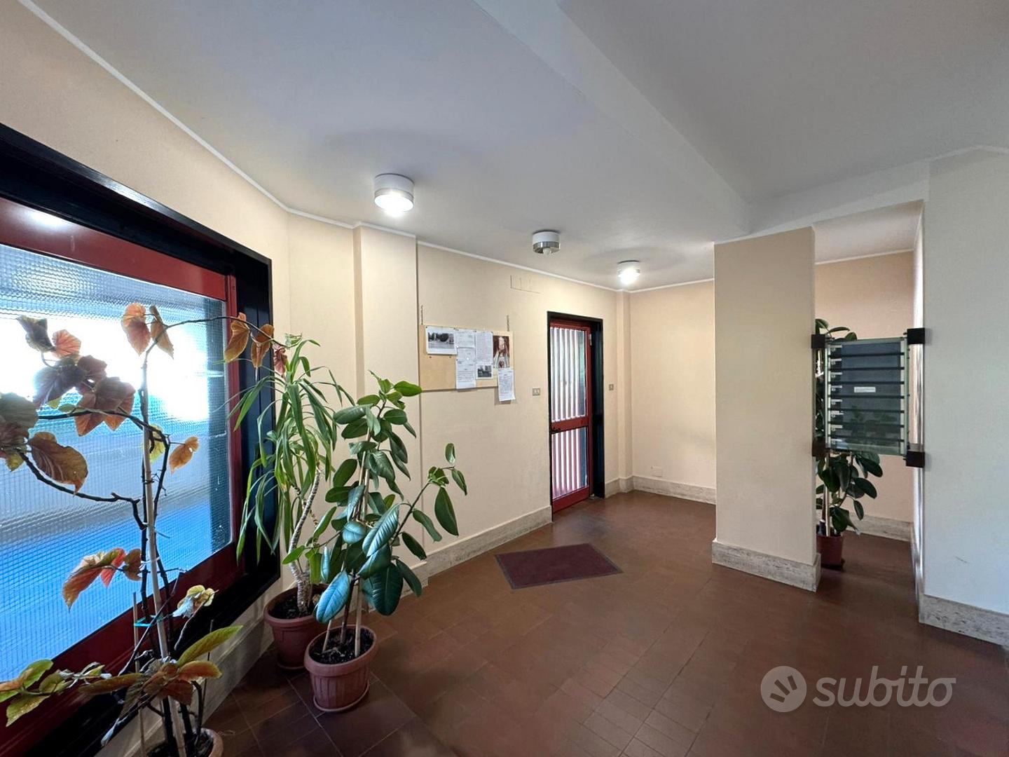 Appartamento – Campobasso, Centro Murattiano - Vista 3
