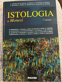Istologia di Monesi