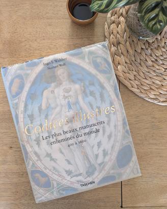 Volume d'arte medievale • Codices illustres