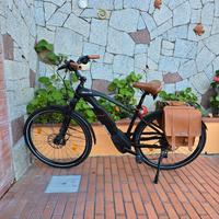 Fantic seven days living e-bike 