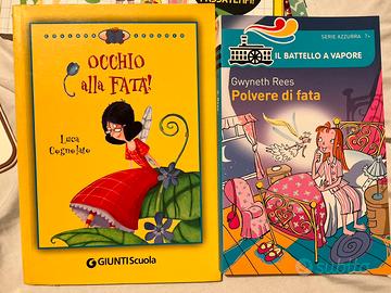 Set di due libri fatati