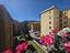 Immagine 7