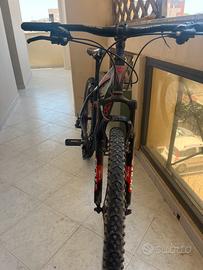 MTB Bottecchia 29" (Mod. Tonale / 125)