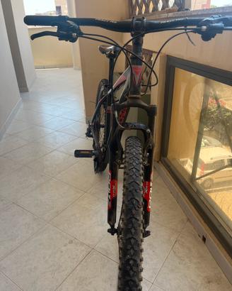 MTB Bottecchia 29" (Mod. Tonale / 125)