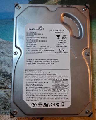 hard disk interno 160gb