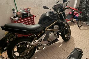 KAWASAKI ER-6N 2006 (Potenza piena)