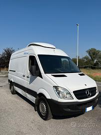 Mercedes Sprinter 313 CDI Isotermico Frigo