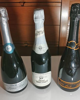 Lotto 3 rari Spumanti VINTAGE da collezione