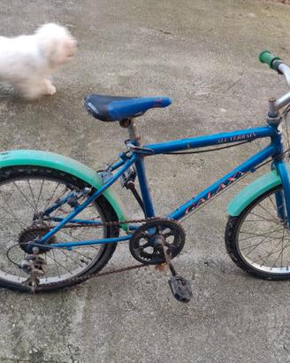 Bicicletta Bambino 