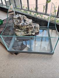 acquario tartarughiera 
