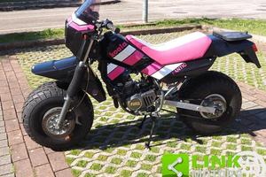 FANTIC MOTOR Koala 50 RESTAURO TOTALE PARI AL NU