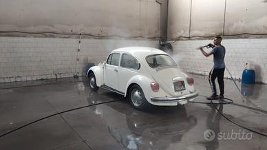 Auto Maggiolone 1983 Mexico