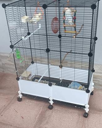 Inseparabili