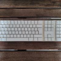Apple tastiera wireless A1016