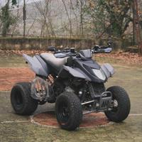 Quad Arctic cat 250 dvx