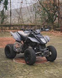 Quad Arctic cat 250 dvx