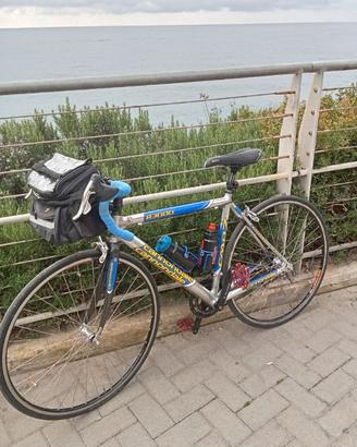 Bici da corsa