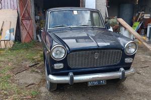 FIAT Altro modello - 1964