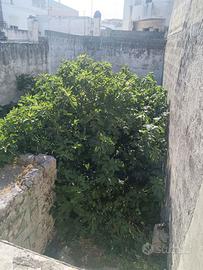 Crispiano - VIA TRENTO Monolocale