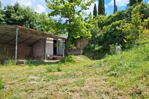 Terreno panoramico con vigneto e casetta
