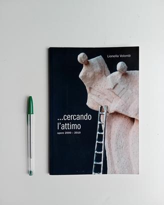 cercand l'attimo,opere 2000-2010 di L.Volontè