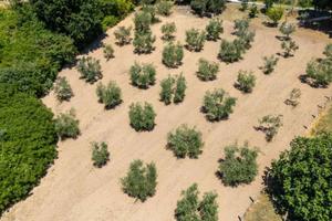 Terreno di 5330 m² a Salisano
