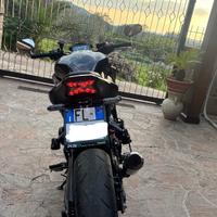 Kawasaki Z900 A2 2024