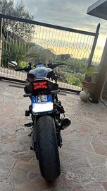 Kawasaki Z900 A2 2024