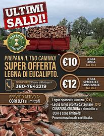 LEGNA DI EUCALIPTO