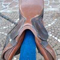 Sella e accessori monta inglese