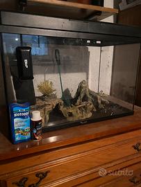 Acquario 80 litri