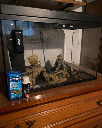 Acquario 80 litri