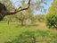 Immagine 25