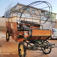 Carrozza Wagonette (64)