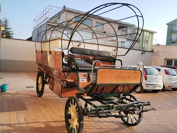 Carrozza Wagonette (64)