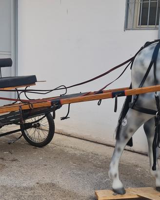 VARI MODELLI CALESSI IN LEGNO 
