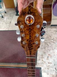 Banjo chitarra musikalia