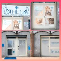 CESSIONE/GESTIONE Ambulatorio Veterinario