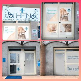 CESSIONE/GESTIONE Ambulatorio Veterinario