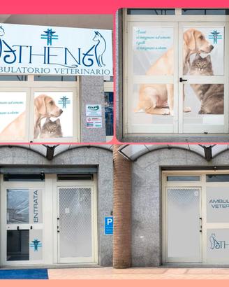 CESSIONE/GESTIONE Ambulatorio Veterinario