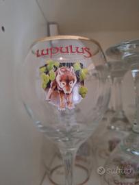 6 Calici lupulus