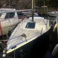 Barca a vela tipo jouet calife 23