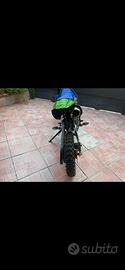 Pit bike 125 RFZ