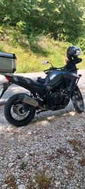 Honda transalp750 
