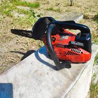 motosega da potatura 