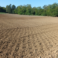 Terreno agricolo disponibile
