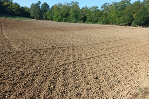 Terreno agricolo disponibile